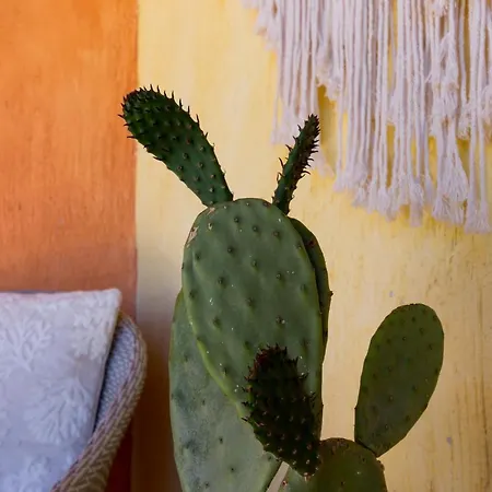 °° Anna°° Dom wakacyjny *