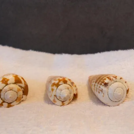 °° Anna°° Dom wakacyjny Villasimius