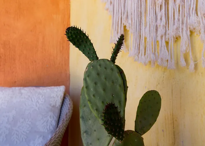 °° Anna°° Дом отдыха *