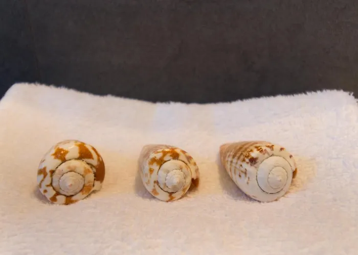 °° Anna°° 펜션 빌라시미우스